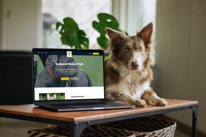 ekc website cover hond